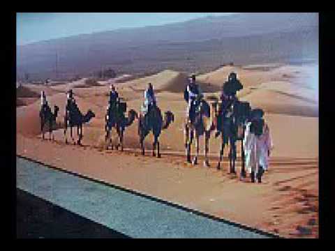 سدوم ول ايده في القصيد 2017