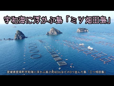 愛媛県愛南町宇和海に浮かぶ島「三ツ畑田島」(空撮)