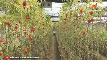 Đẩy mạnh ứng dụng công nghệ cao vào sản xuất nông nghiệp