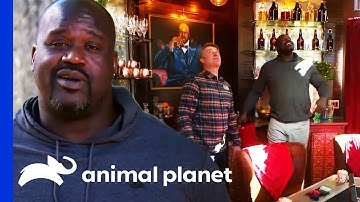 Shaq
