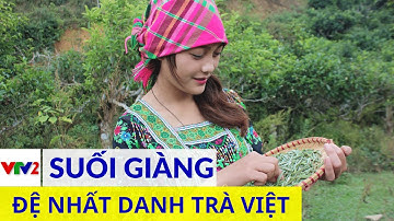 Đệ nhất danh trà Suối Giàng, niềm tự hào của trà Việt Nam, đặc sản Tây Bắc| VTV2