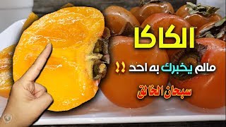 هل سبق وان اخبرك احد عن عجائب الكاكا ؟ - سنخبرك الكثير ولكن حذاري من الاضرار !