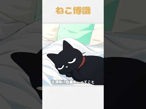 きみ今日は休みでしょ？　#猫 #猫の雑学 #くろ太のサムネイル