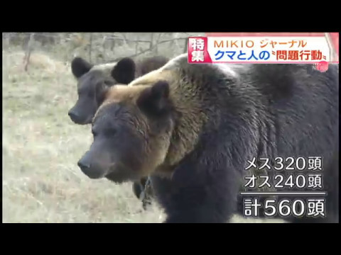 Mikioジャーナル 変わるクマ 変わるべきはヒト Youtube Mikioジャーナル 変わるクマ 変わるべきはヒト Youtube