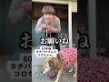 老後の散歩を愛犬と再現してみた#shorts