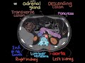 CT scan_ normal anatomy