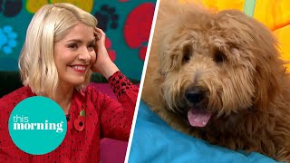 Ned The Dog Steals The Show Whilst Discussing The UK's First TV Channel For Dogs | This Morning screenshot 5