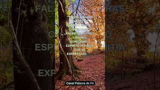 #jesus #fe #palavradedeus #oração #propósito #esperança #gratidão