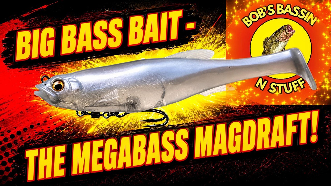 Megabass Magdraft | Is it Worth the Money?