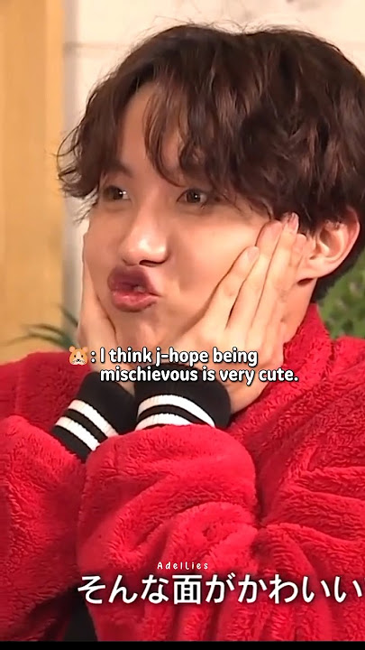 Jin-hyung can describe them well😆 #bts #jin #jhope #jimin #jungkook #rm #suga #v