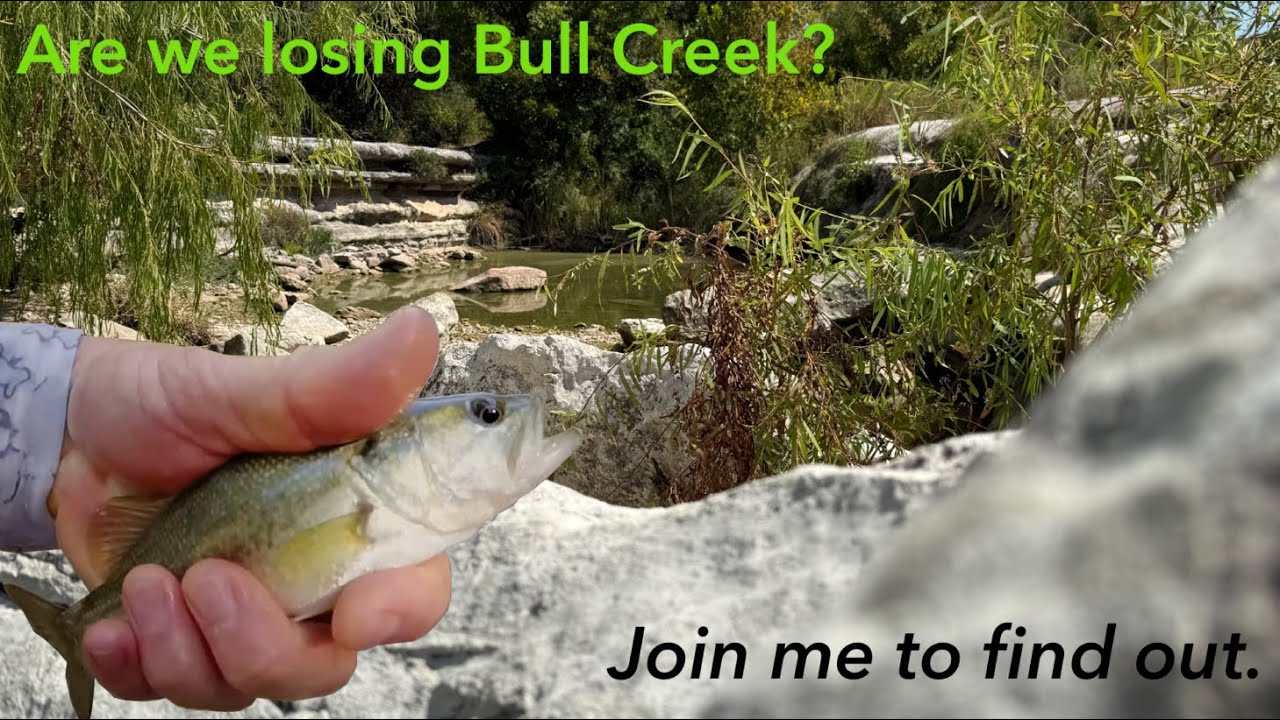 Нахлыстовая рыбалка в Булл-Крик | Остин, Техас