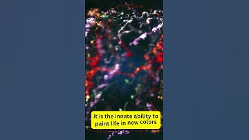 Creativity is not the monopoly of artists