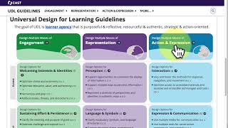 UDL Project Example