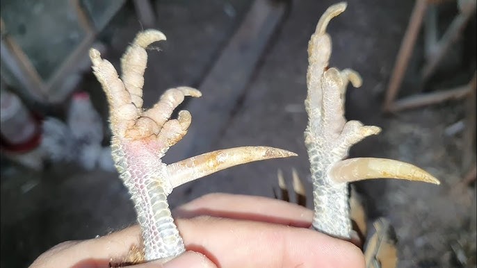 Porno arxivini onlayn tomosha qiling