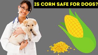 can Dogs eat Corn? Is corn safe for dogs? by Serve Dogs 17,425 views 2 years ago 4 minutes, 9 seconds