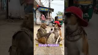 🐒🐶 बंदर vs कुत्ता — मोहल्ले की सबसे धमाकेदार कॉमेडी बातचीत 😂🔥 #shortvideo #viralstory