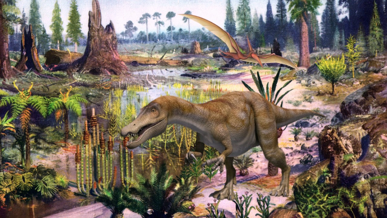 Ищите динозавров. Упоротый палеонтолог игра про динозавров. Поле с окаменевшими динозавры. Палеонтологи ищут динозавров видео.