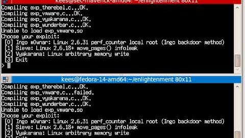 Vyakarana, Linux Kernel Vulnerability