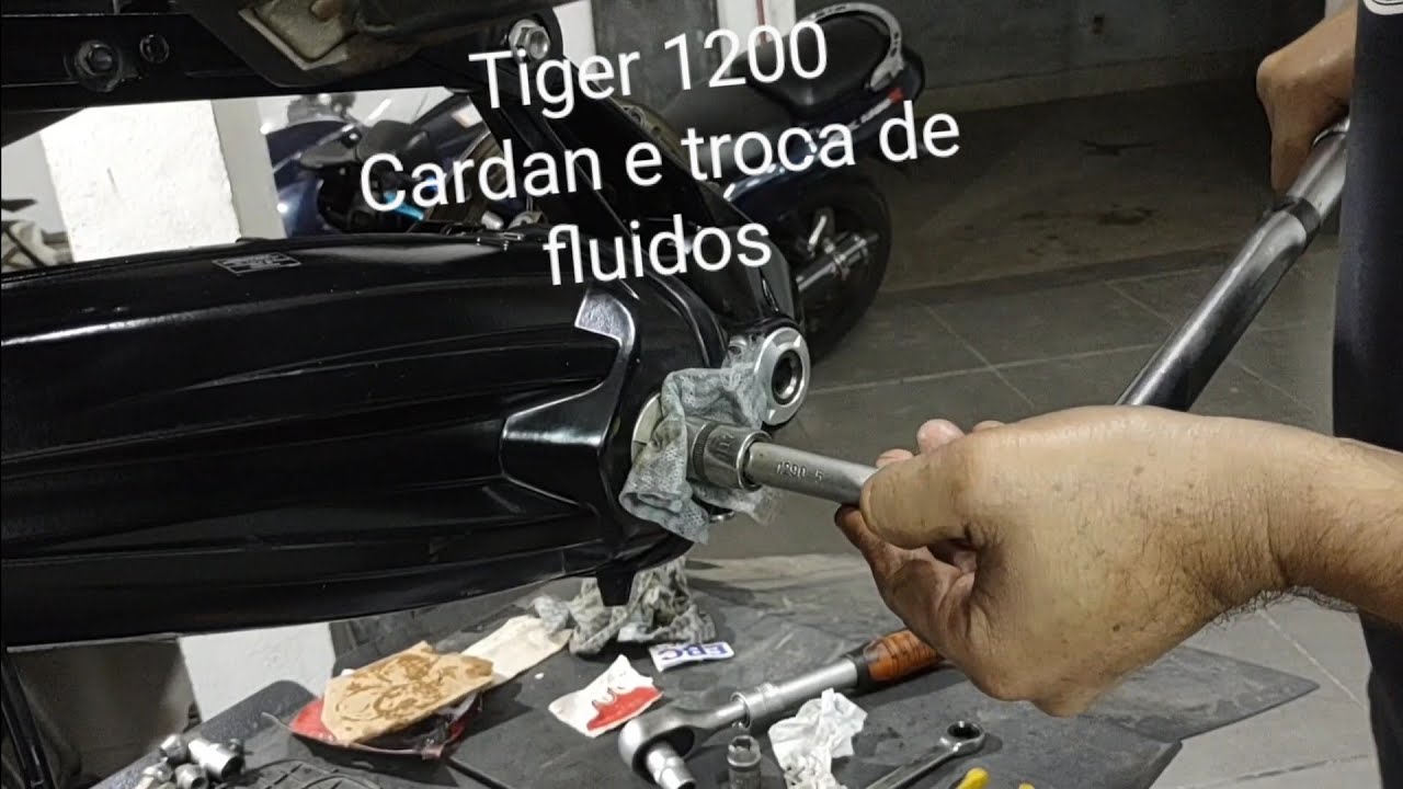 Tiger 1200 serviço Cardan e troca de fluidos