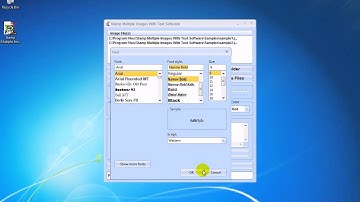 How To Use Stamp Multiple Images With Text Software