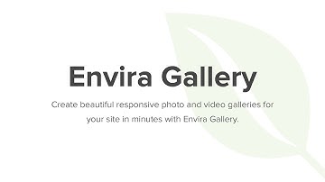 Envira Gallery - Premium WordPress Gallery Plugin (Overview)