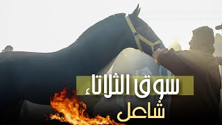 المقدم فتاح الشراط دخل عود مليح باعو ب 6 ديال الملاين، السوق فيه مايدار مور ما خرج برنامج الإقصائيات