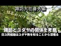 ミシャグジ神はヤハウェなのか？御頭祭や伝承から考察してみる