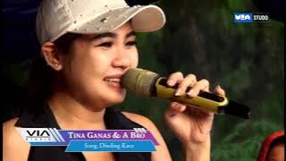 Shellia Musik_Dinding Kaca COVER (Tina Ganas feat Adhe Yangga)