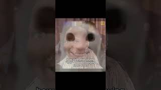 my brain needs to process #music #relatable #friends #sad #funny #shorts #fypviral #cherrxblossom