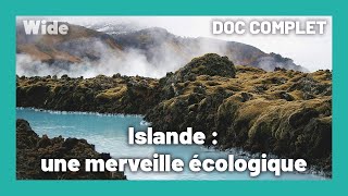 Les ressources insoupçonnées de l'Islande | WIDE | DOC COMPLET