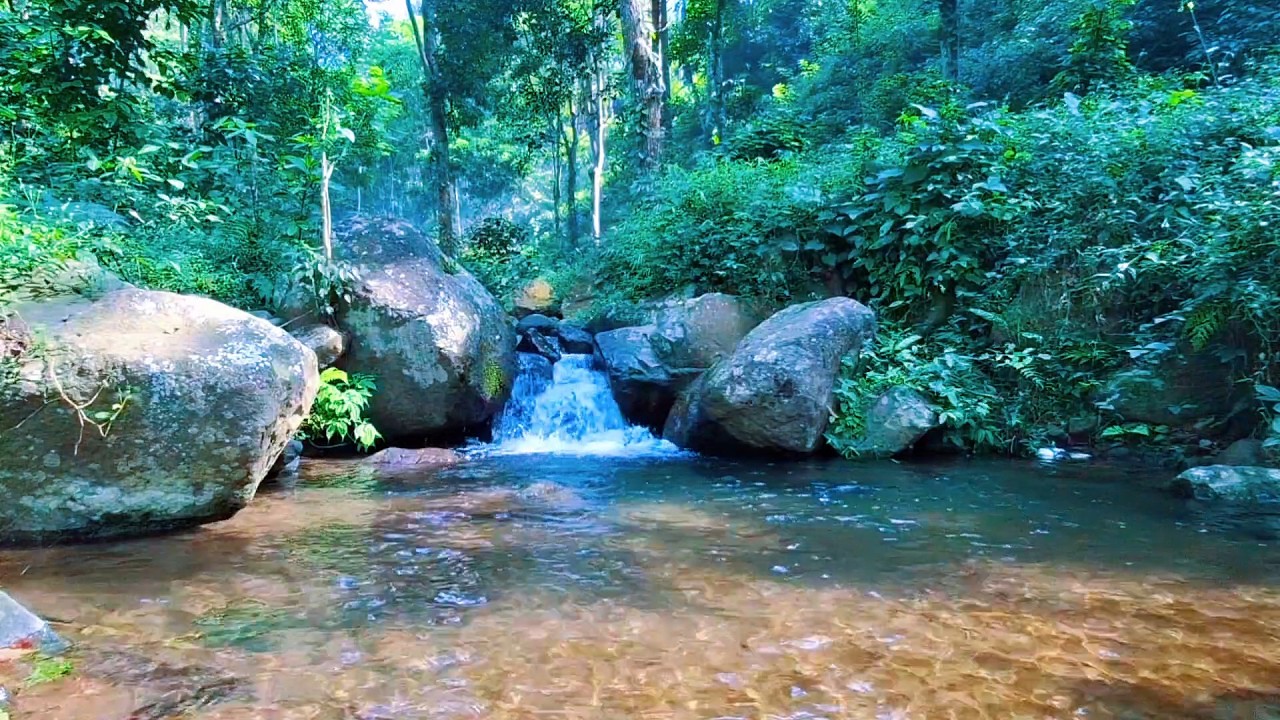 Soft River Sounds for Evening Calm