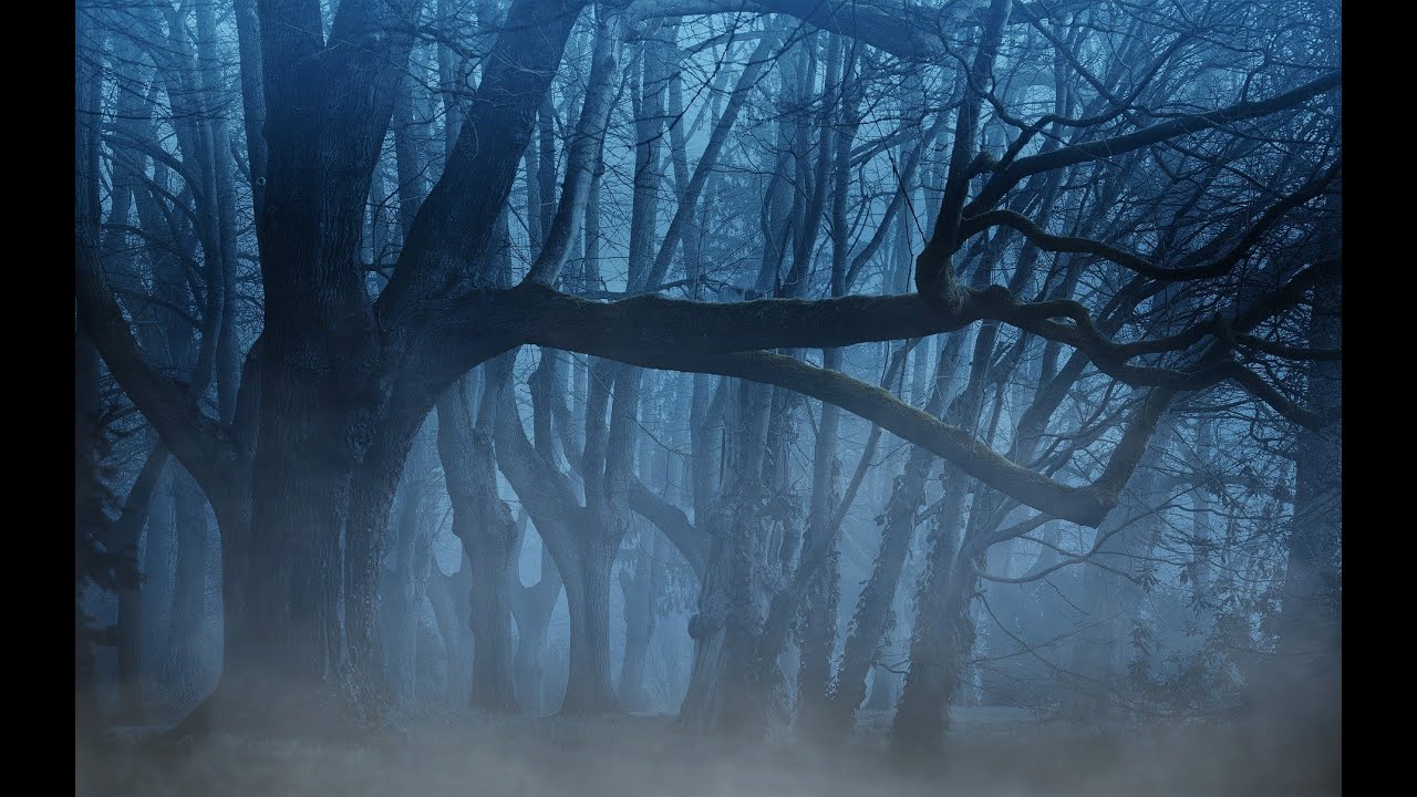 Solas Composer - Dark Fantasy Music | Volume 1 Epic Music