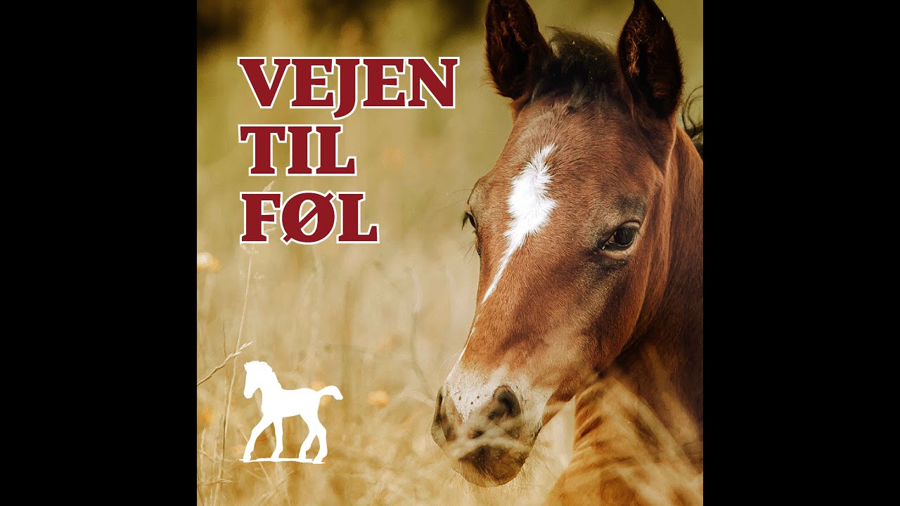 Vejen til Føl Episode 5, Case studies og succesfortællinger