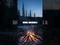 From Dawn to Dusk Real World Wilderness Resilience
