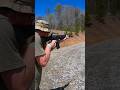H&R M16A1