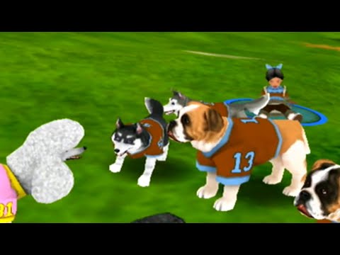 Jerry Rice & Nitus' Dog Football ... (Wii) Gameplay