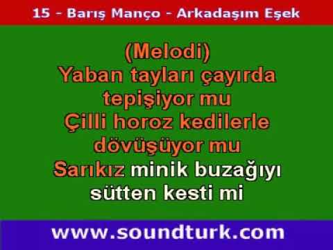 Barış Manço - Arkadaşım Eşek / Karaoke