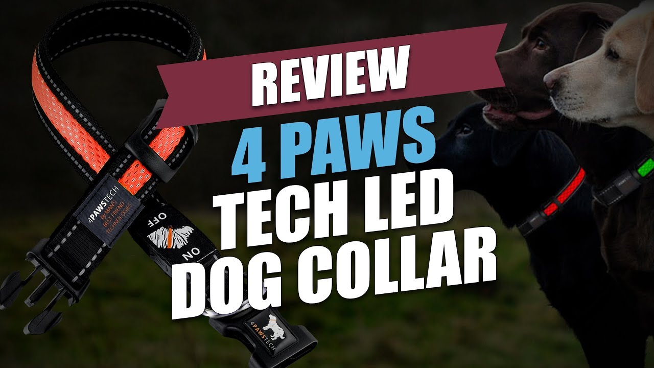 4 Paws Tech LED Dog Collar Review