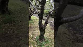 IMG 5392