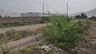 Terreno Agro Industrial en Aucallama - Huaral
