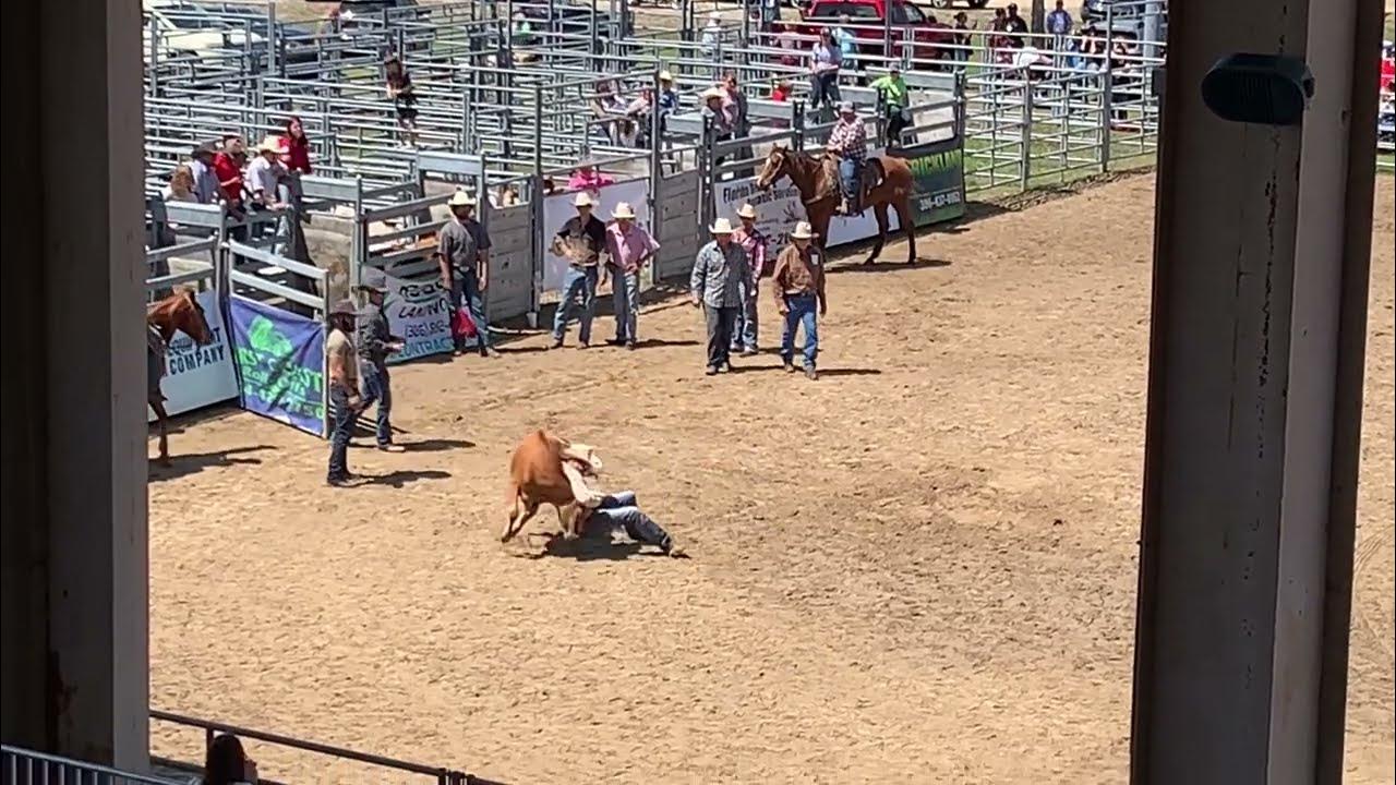 Chute Doggin' at Flagler County Cracker Day 2022 YouTube