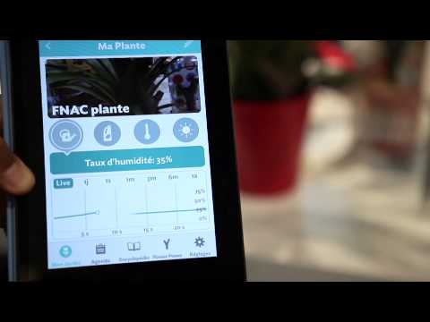 Découvrez le capteur pour plantes : Parrot Flower Power, en vidéo