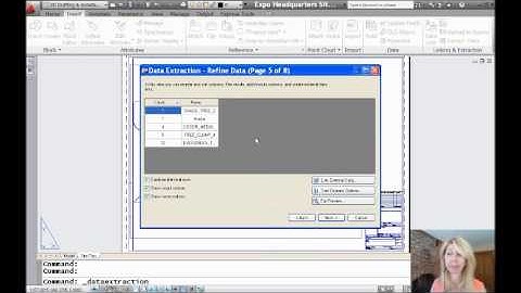 Easy Data Extraction (Lynn Allen/Cadalyst Magazine)