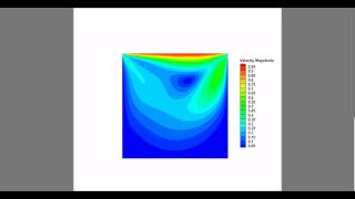 Lid-driven Cavity