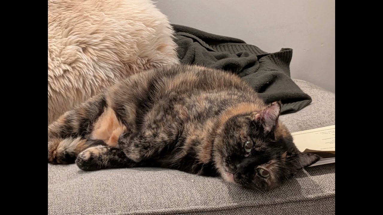 Prelude et Scherzo – Henri Büsser