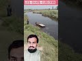 Punjab mein gadhagadi nehar mein gir gayi 😅 #donkeycart #punjabfarming #rurallife #viralvideo