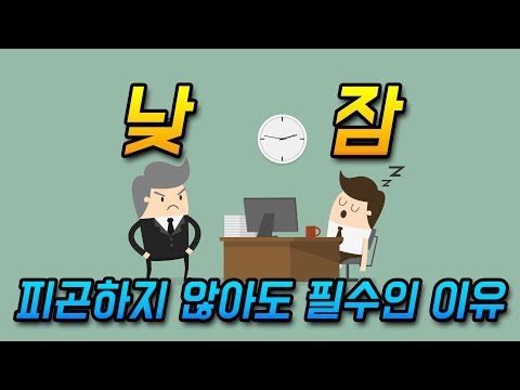 낮잠을 자는 사람이 성공한다 낮잠의 효과 | 건강 과학 지식 | 언더독