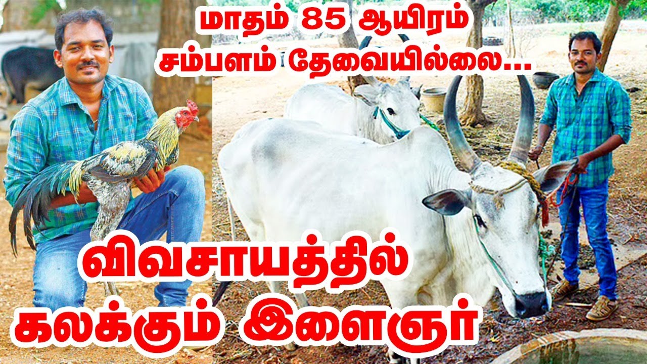 மாதம் 85 ஆயிரம் சம்பளத்தை மறுத்து விவசாயம் செய்யும் இளைஞர் | Horse Farm