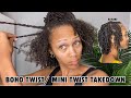 20 Minute Boho / Mini Twist Takedown + Twist Out Results