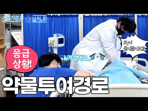 응급상황! iv가 없다면 약물은 어디로 줘야할까?! 응급약물 투여경로[소년간호사X널스노트]